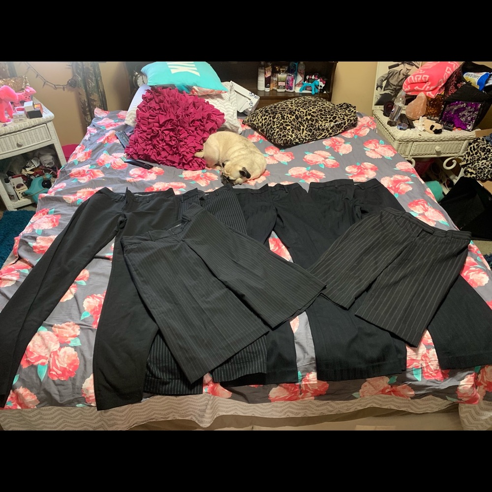 Lot of 6 pair of EXPRESS pants & capris